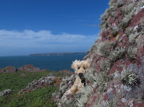 Looking across to Skomer, Dream Island.