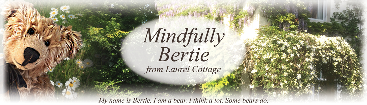 Mindfully Bertie