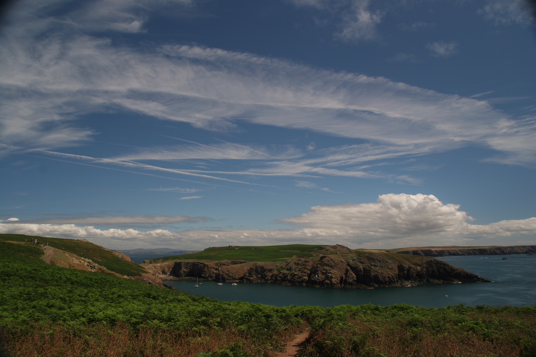 September: Skomer Island.