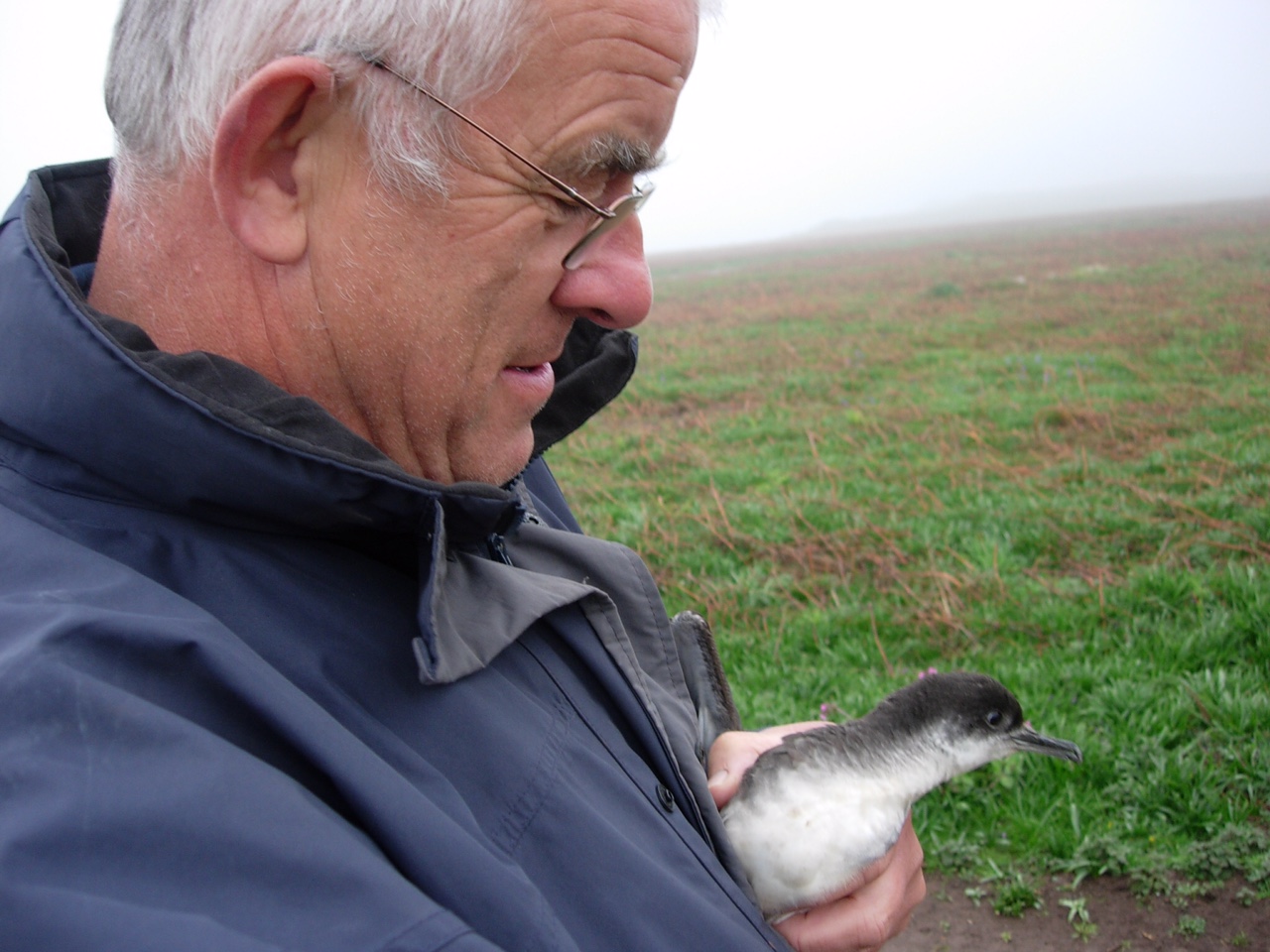 September: Bobby and the Chick.