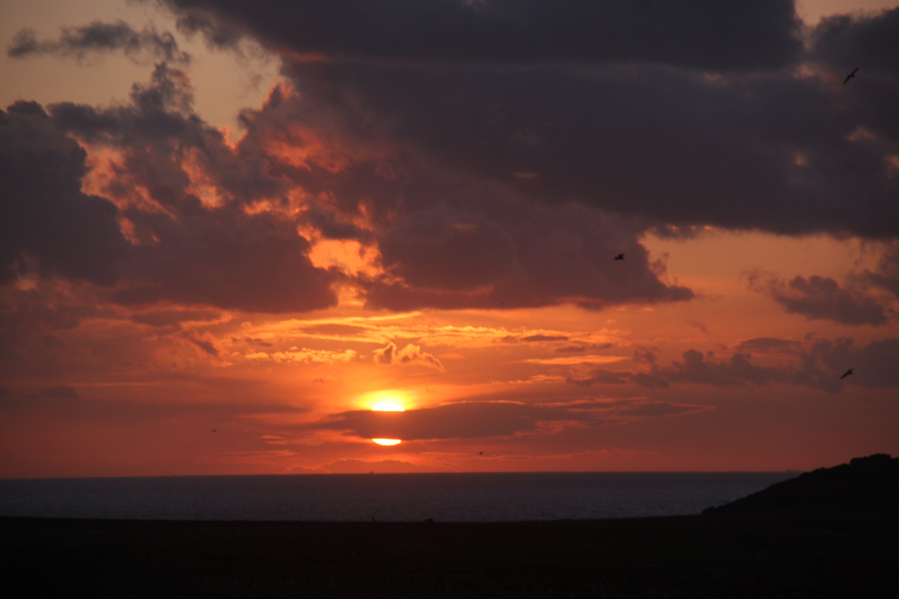 September: Goodnight Skomer.