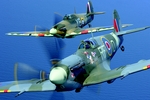 September 1954: Spitfires in Flight.