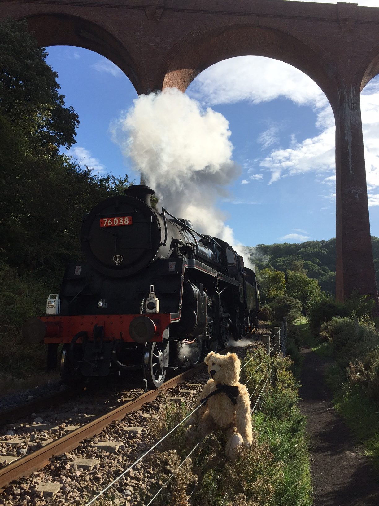 Joe's Story: Bertie Posing by the train.