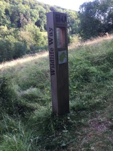 Laurie Lee Poetry Posts: Snows Farm Nature Reserve - Moss Rose