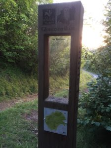 Laurie Lee Poetry Posts: Laurie Lee Wood Nature Reserve - The Wild Trees