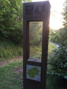 Laurie Lee Poetry Posts: Laurie Lee Wood Nature Reserve - The Wild Trees
