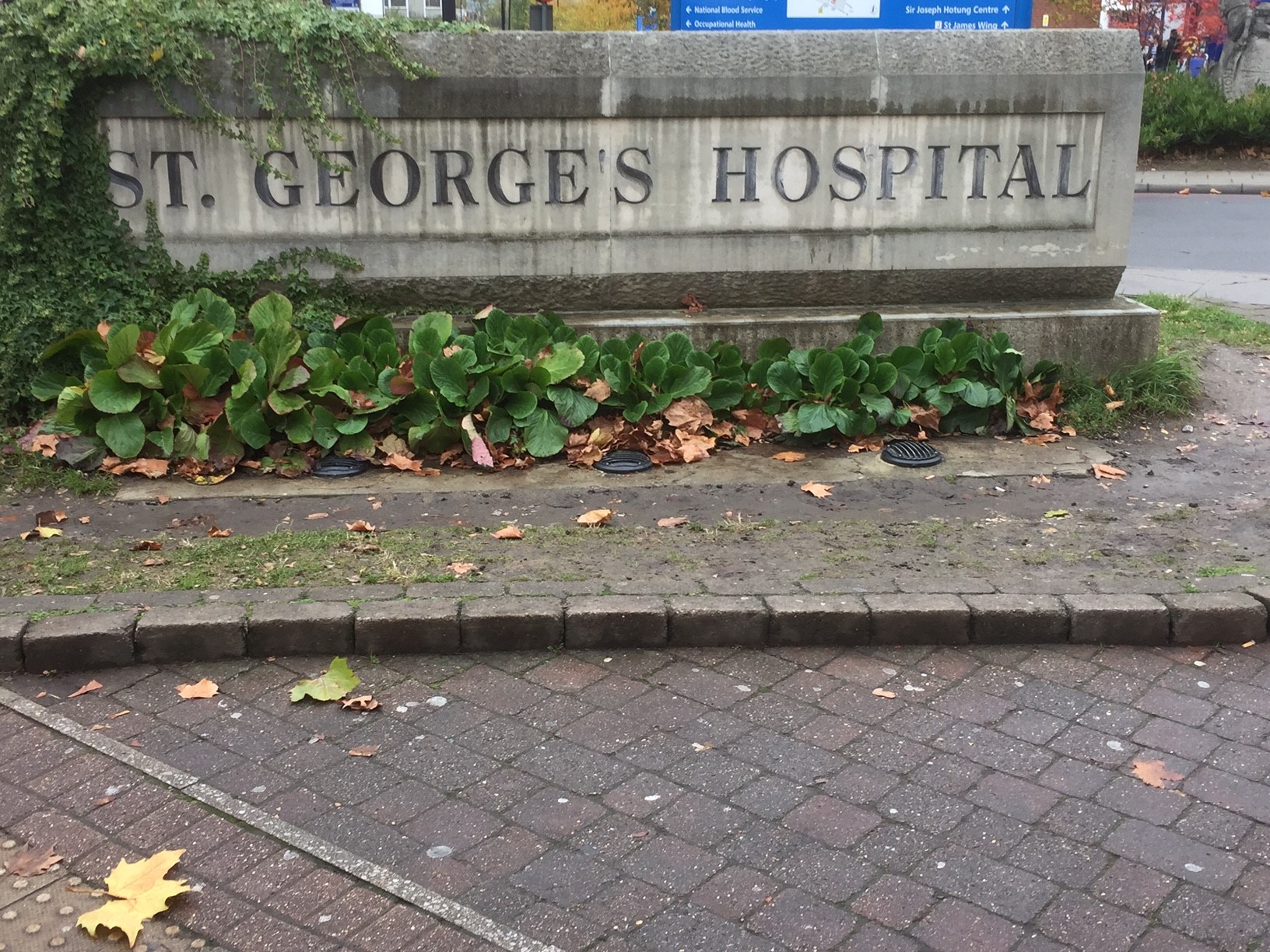 Welcome to St George's Hospital.