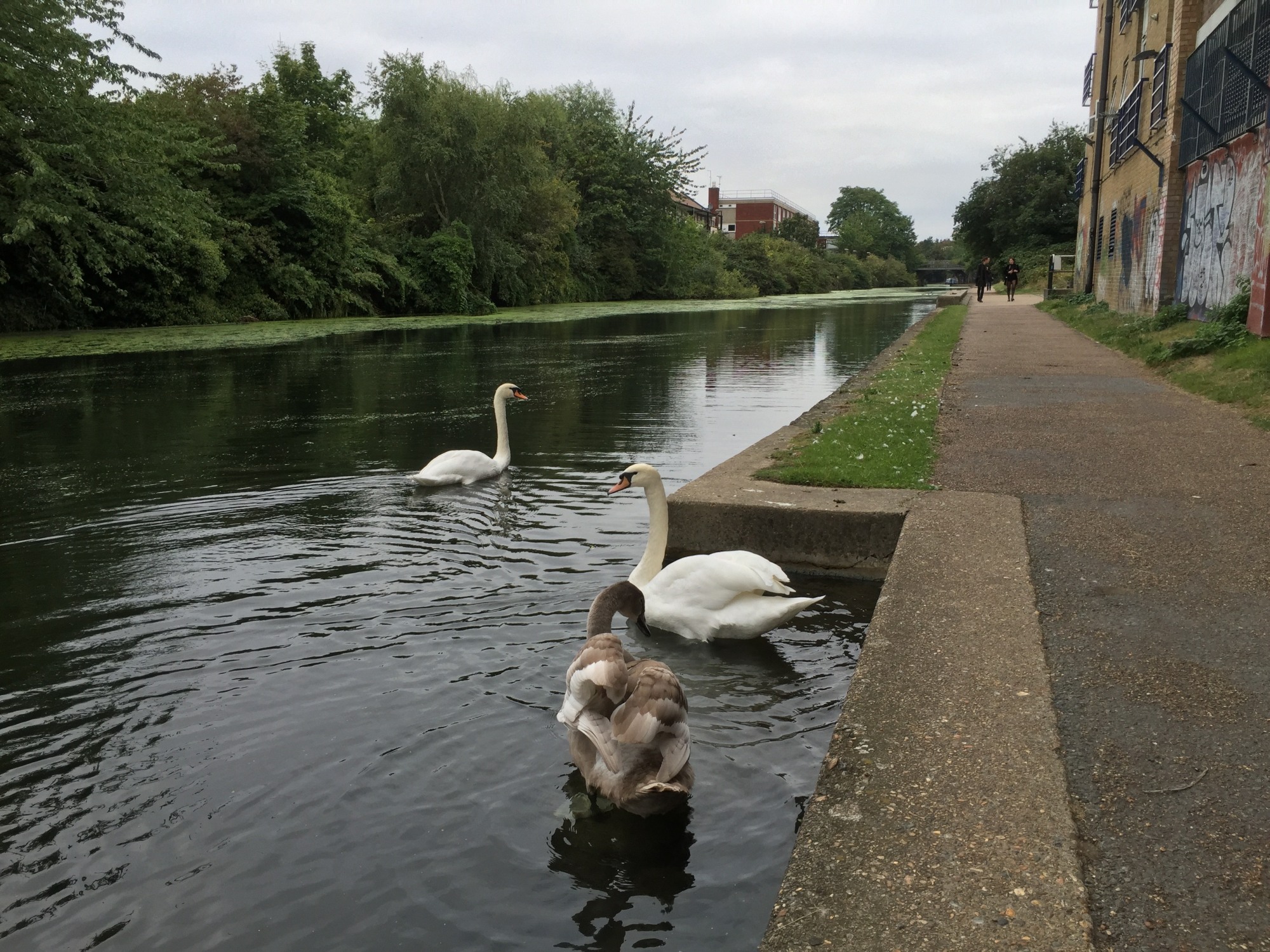 Islington Regents Canal