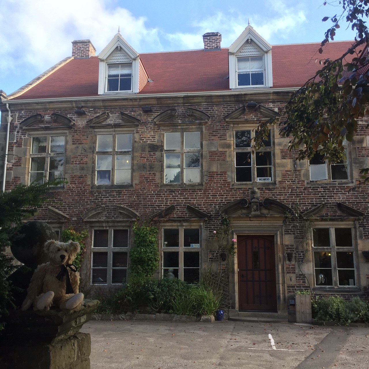 Middlesbrough: Bertie at the Delightful Ruswarp Hall.