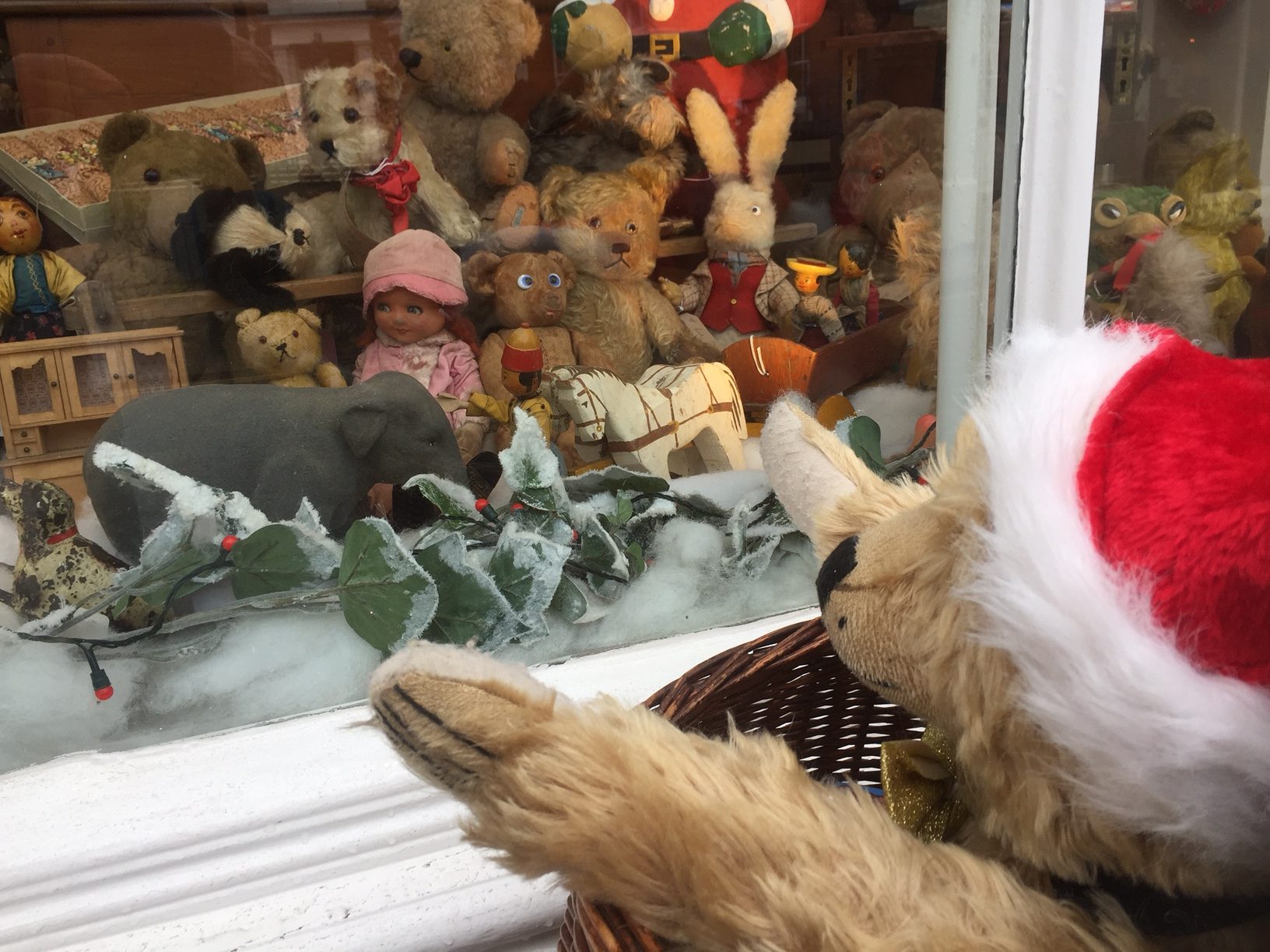 Old Bears - Bertie meets the bears at the Antiique Shop.