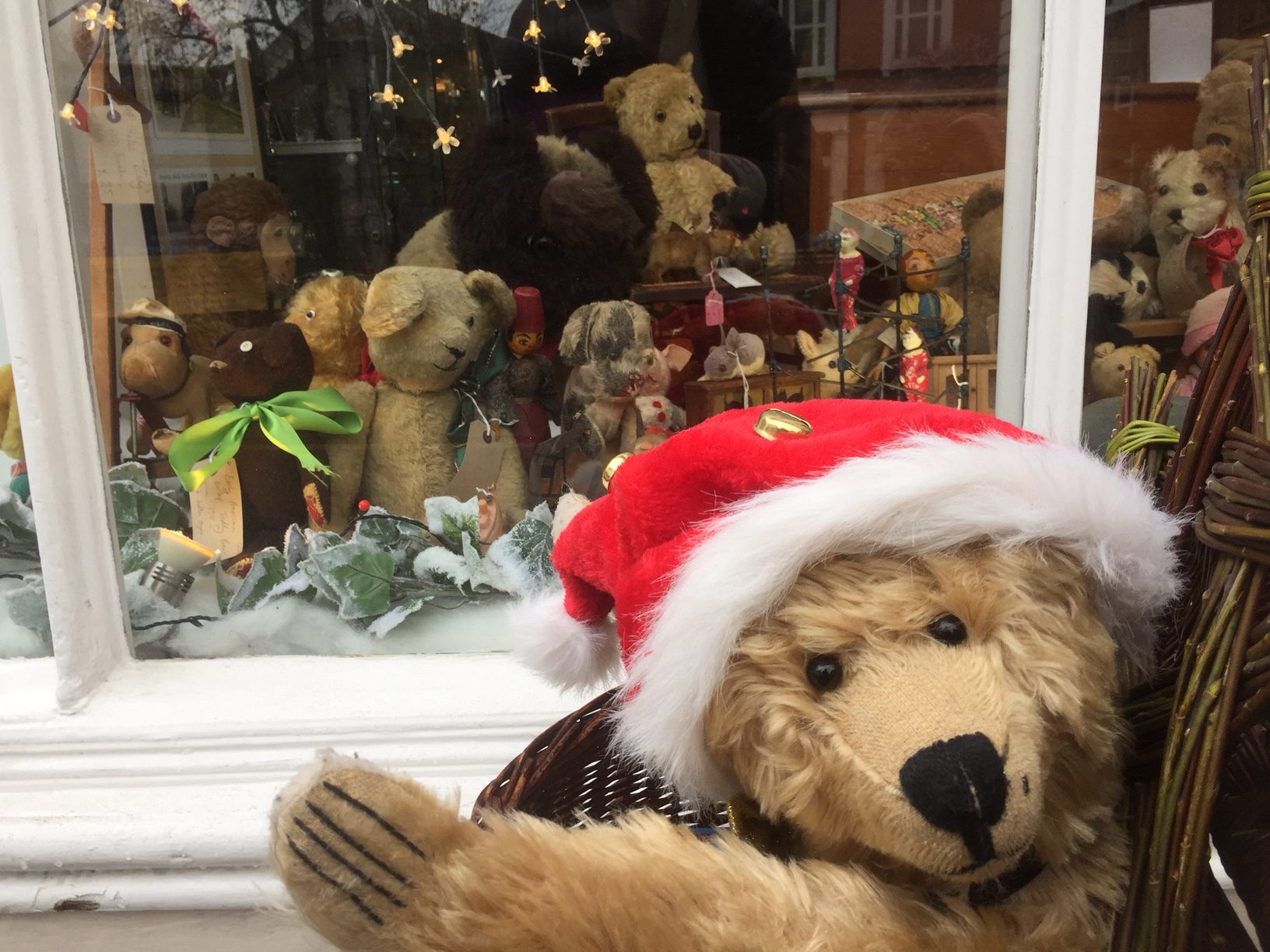 Old Bears - Bertie meets the bears at the Antiique Shop.