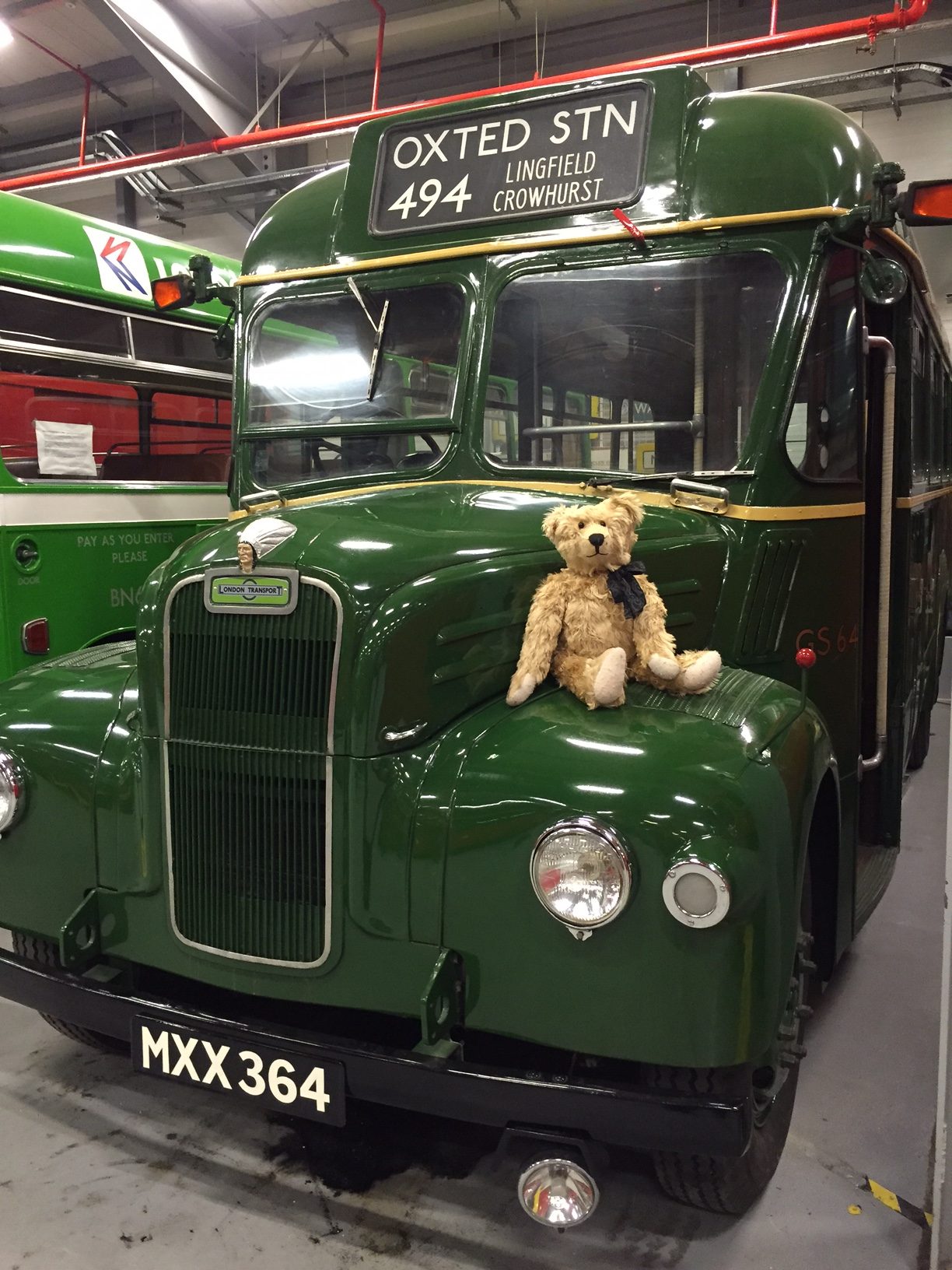 London Transport Museum: GS 64. A GS (Guy Special) country bus for rural routes. MXX 364.