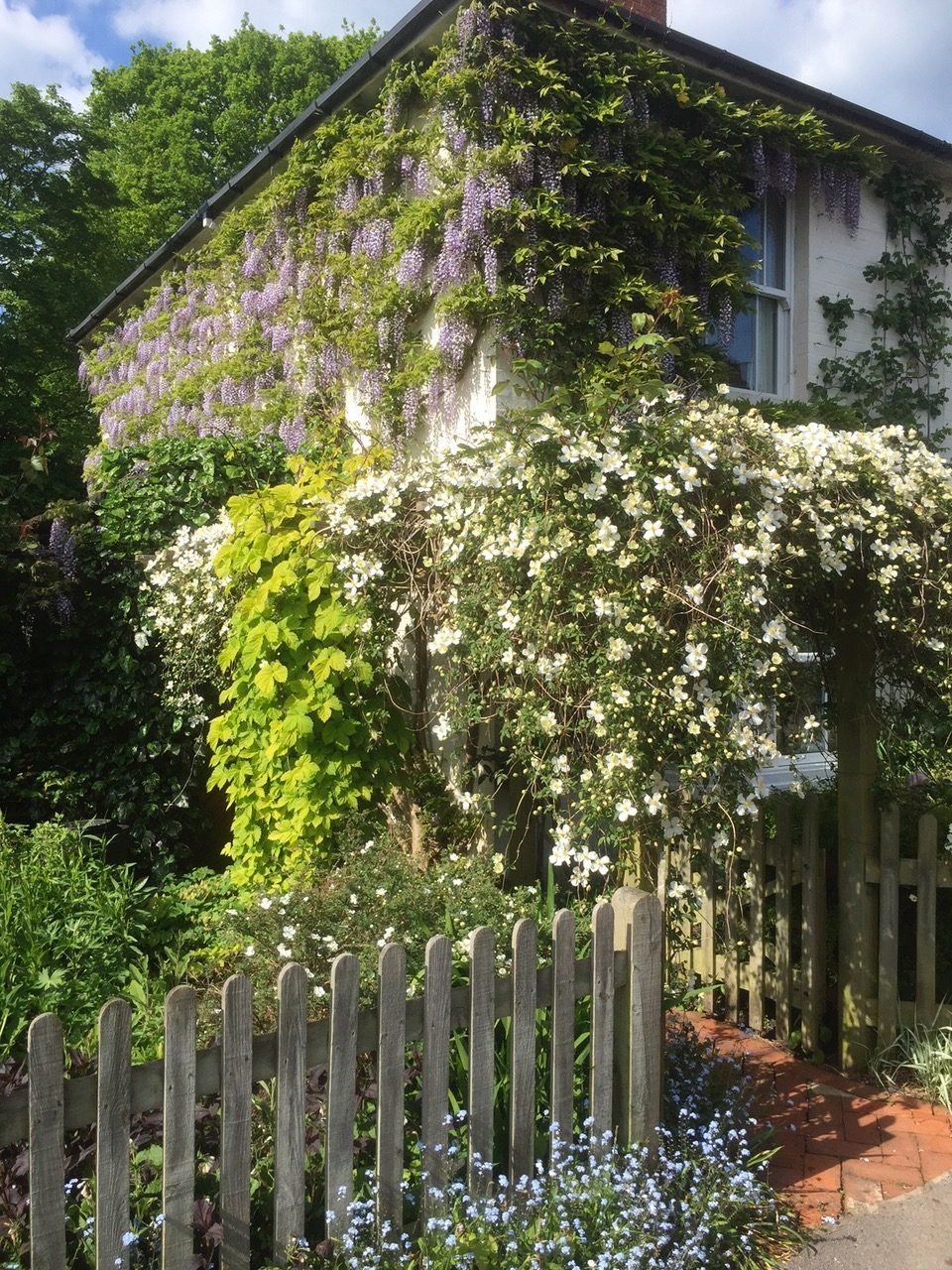 Continental Railway Journeys: Laurel Cottage.