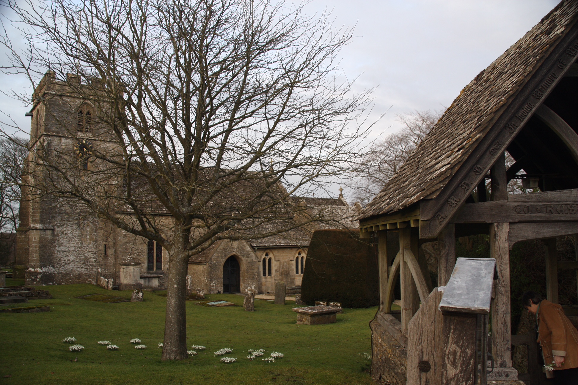 Snowdrops: St Andrew's, Miserden.