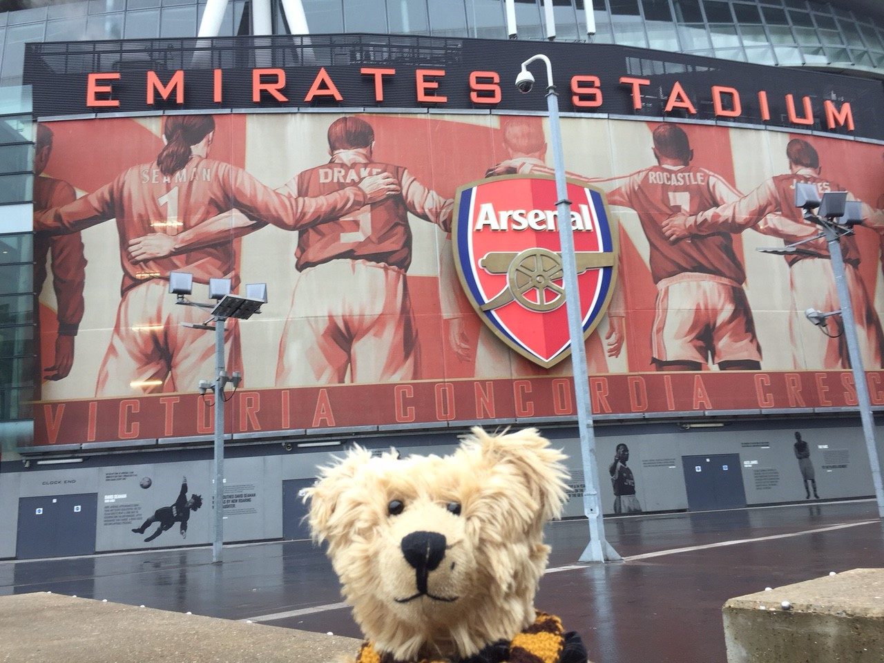 Sutton United: Bertie outside the Arsenal Emirates Stadium