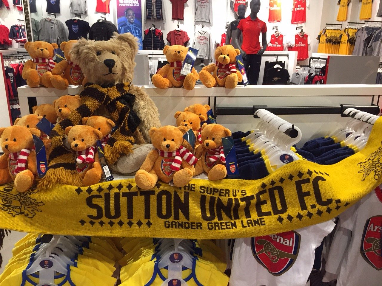 Sutton United: Who's the Best Bear
