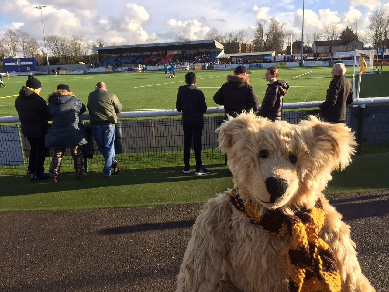 Sutton United: Watching the match.