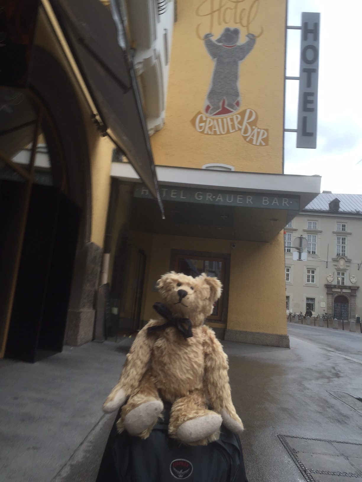 Austria: A hotel fit for a bear…