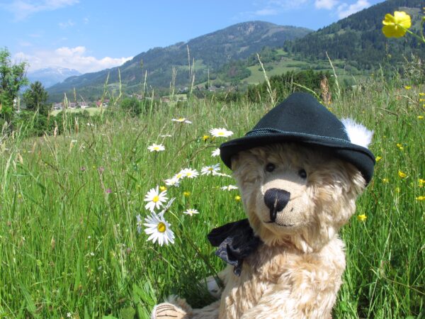 Austria: For bears.