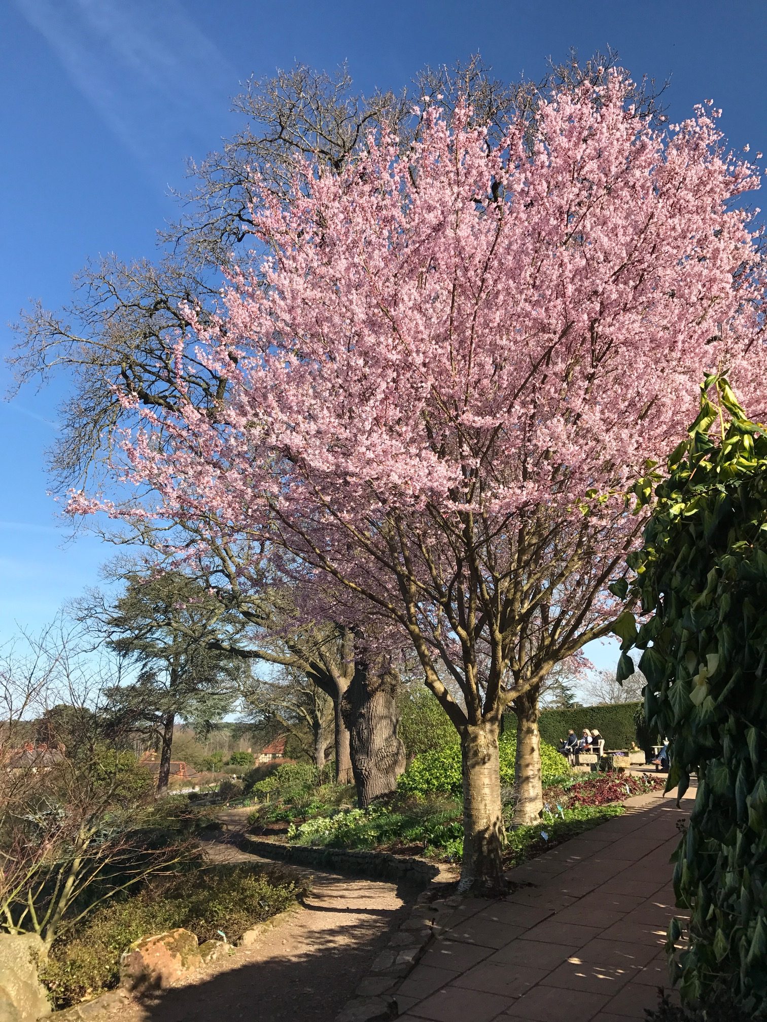 Good Grief: Wisley Gardens.