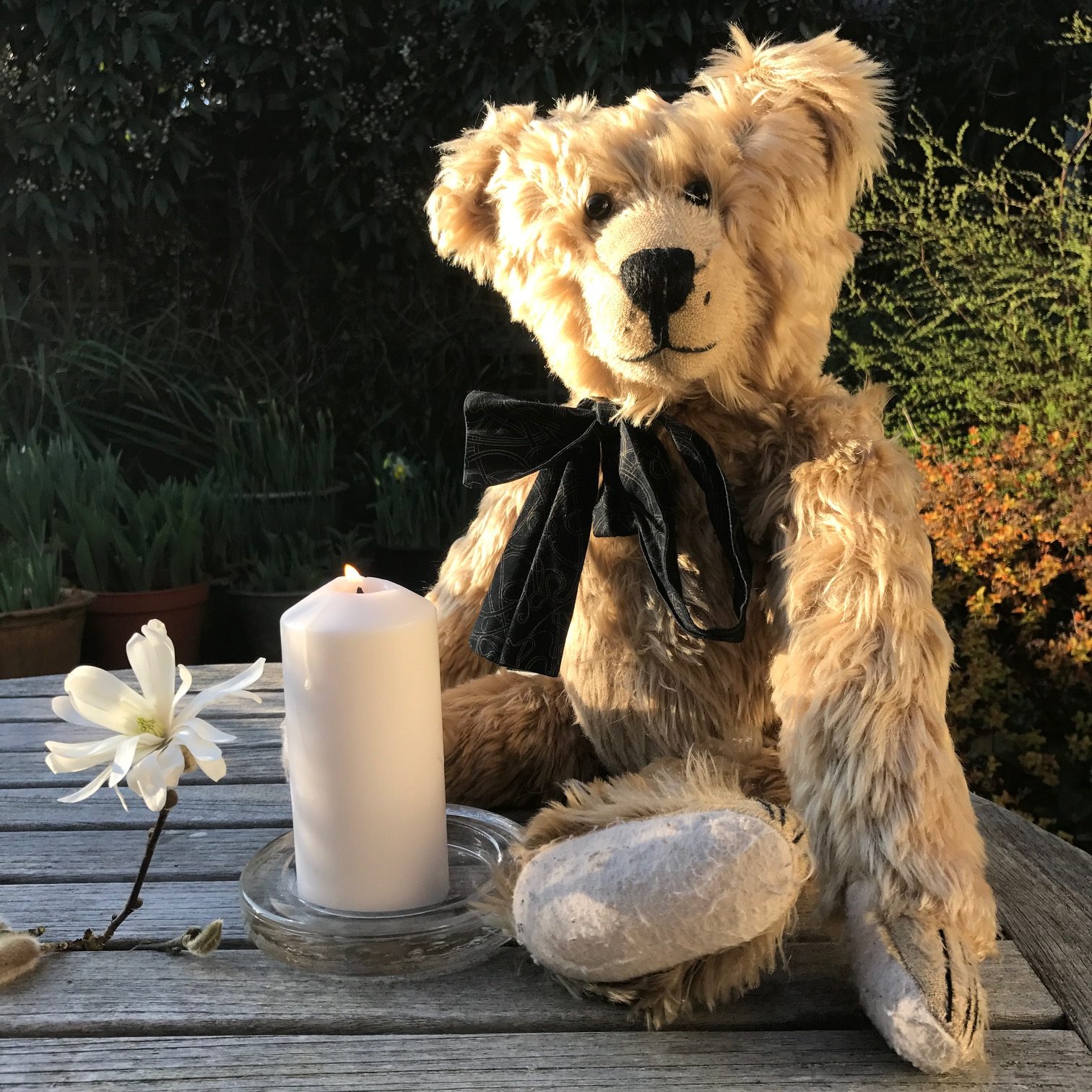 Good Grief - Lighting a Candle: Magnolia and Candle for Diddley.