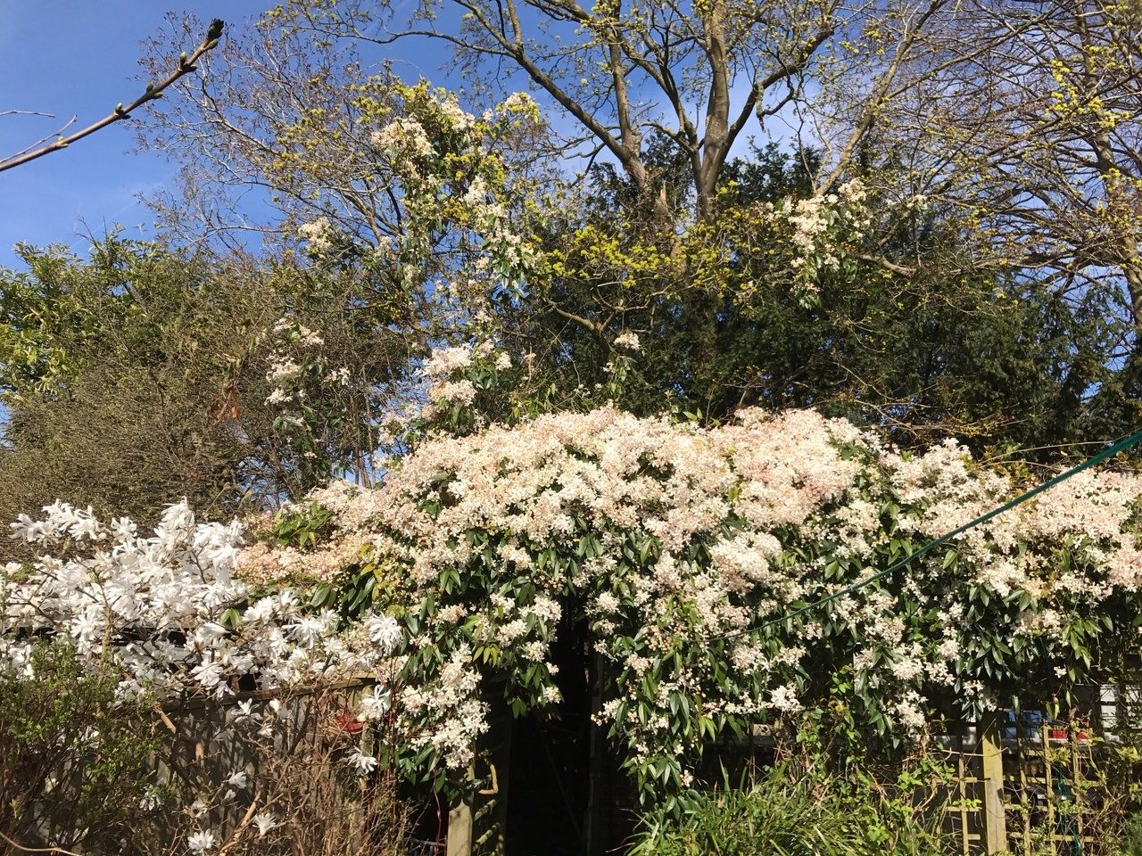 Laurel Cottage: Armardii.