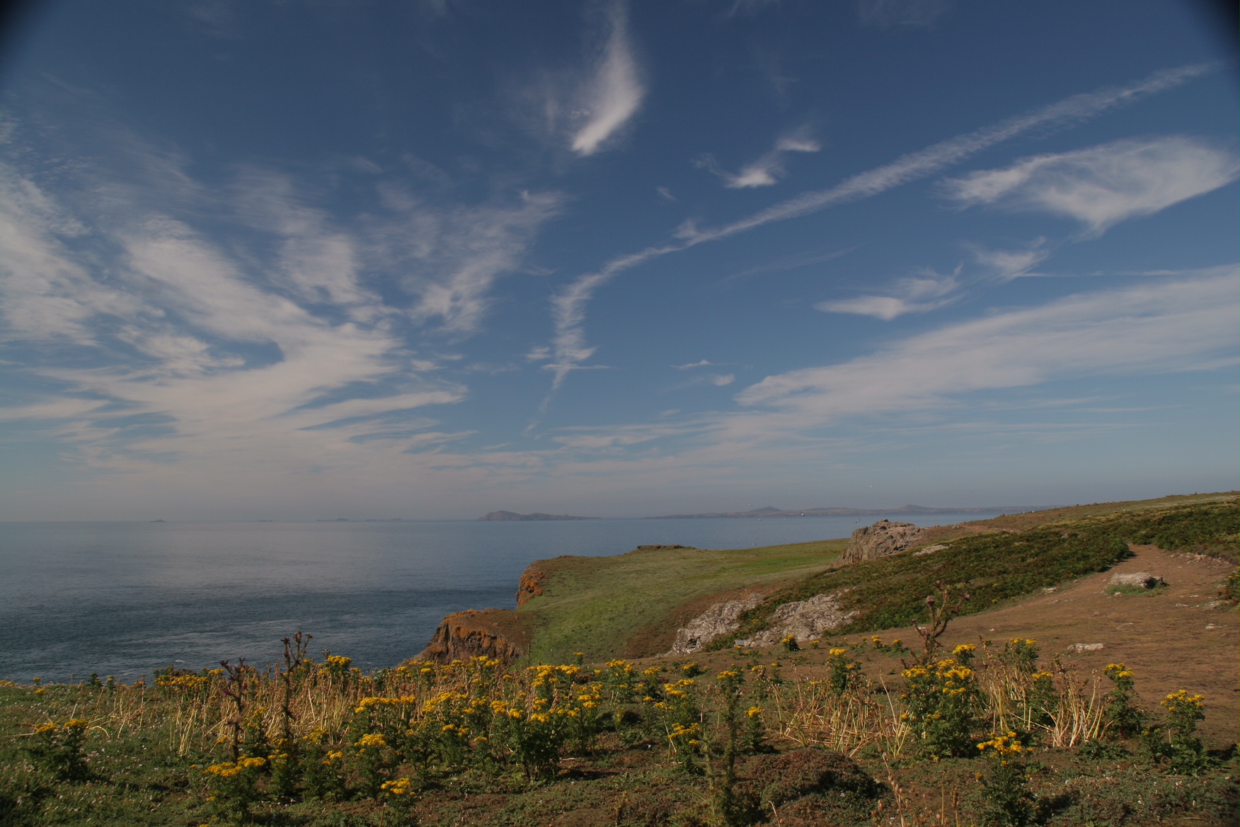 GAD - Generalised Anxiety Disorder - Out of the Darkness: Skomer Island.