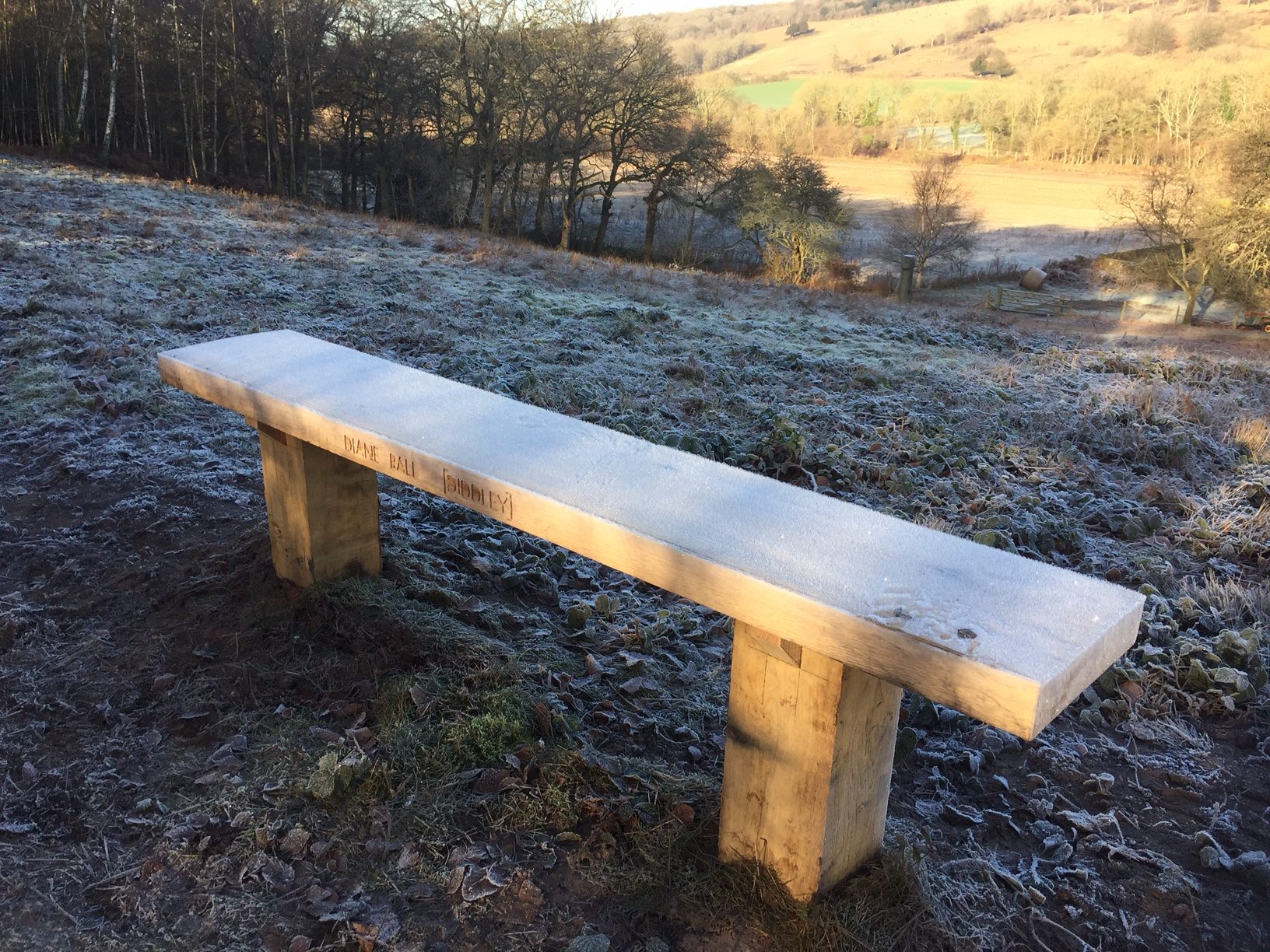 The Bench: A frosty morning in February.