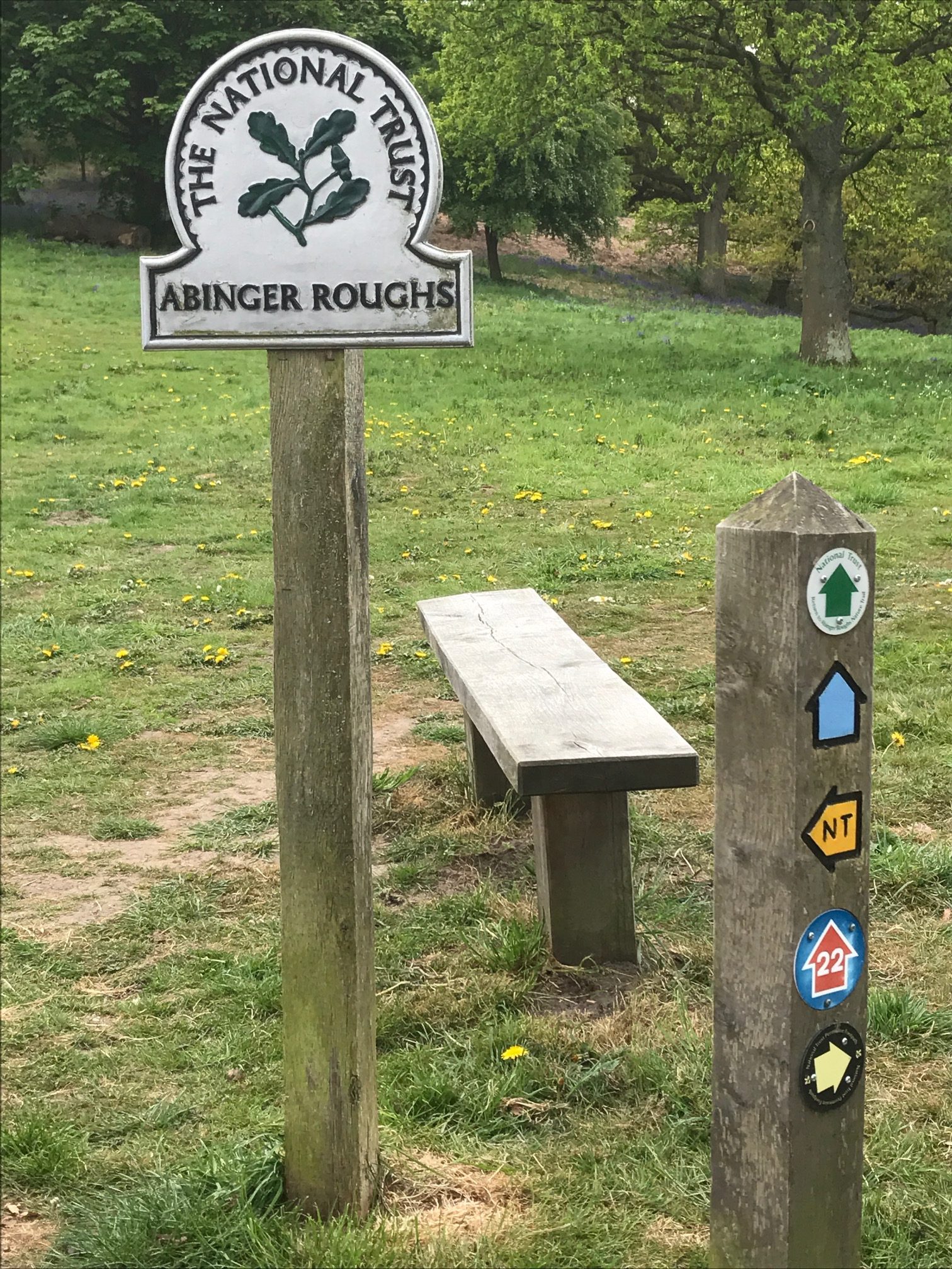 The Bench: NCN Route 22 through Abinger Roughs. Future blogs will celebrate Sustrans.