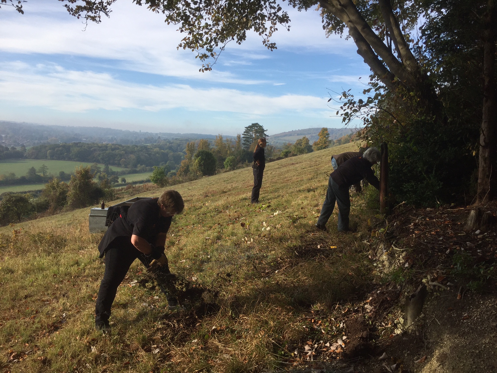 The Bench: Volunteering on Denbies Hillside.