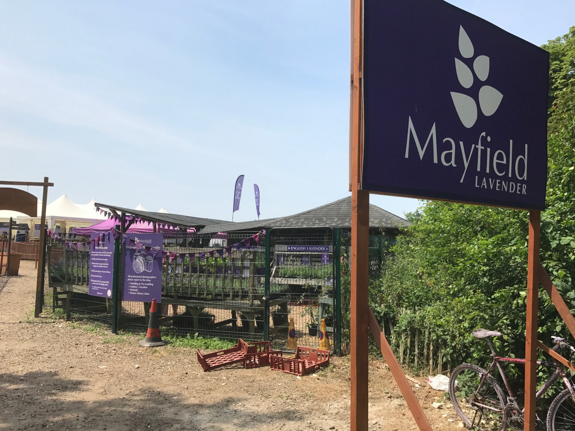 Heatwave: Entrance to Mayfield Lavender.
