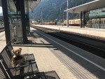 Trainspotter