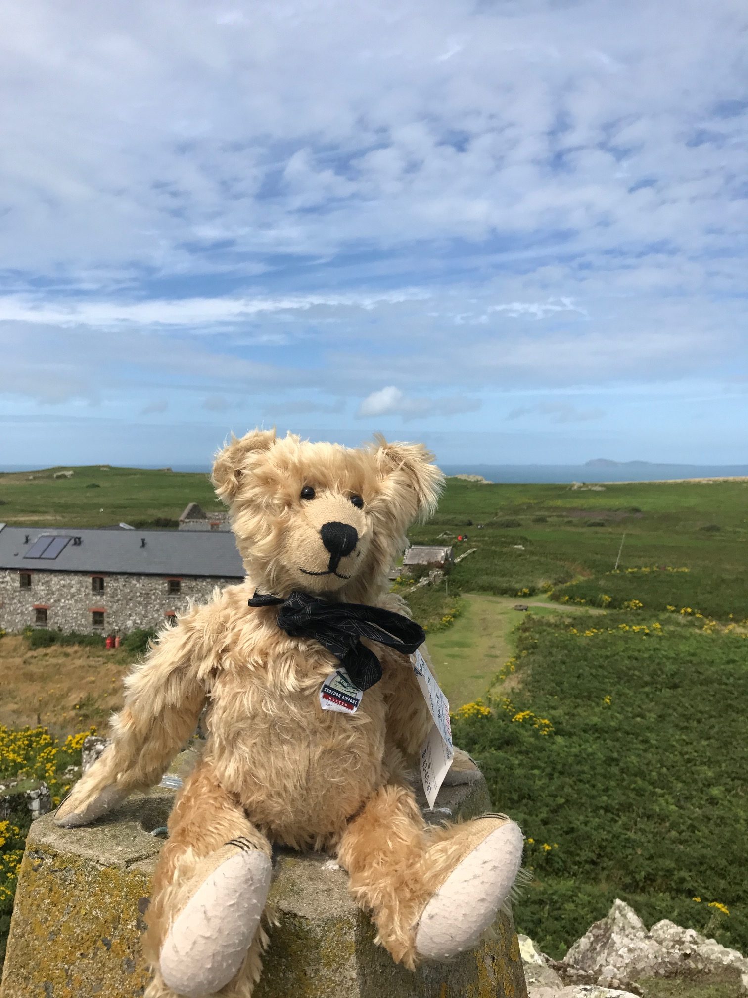 Giselle Eagle: Views from the trig point. The highest point on Skomer Island. Looking across the sea to Ramsay Island.