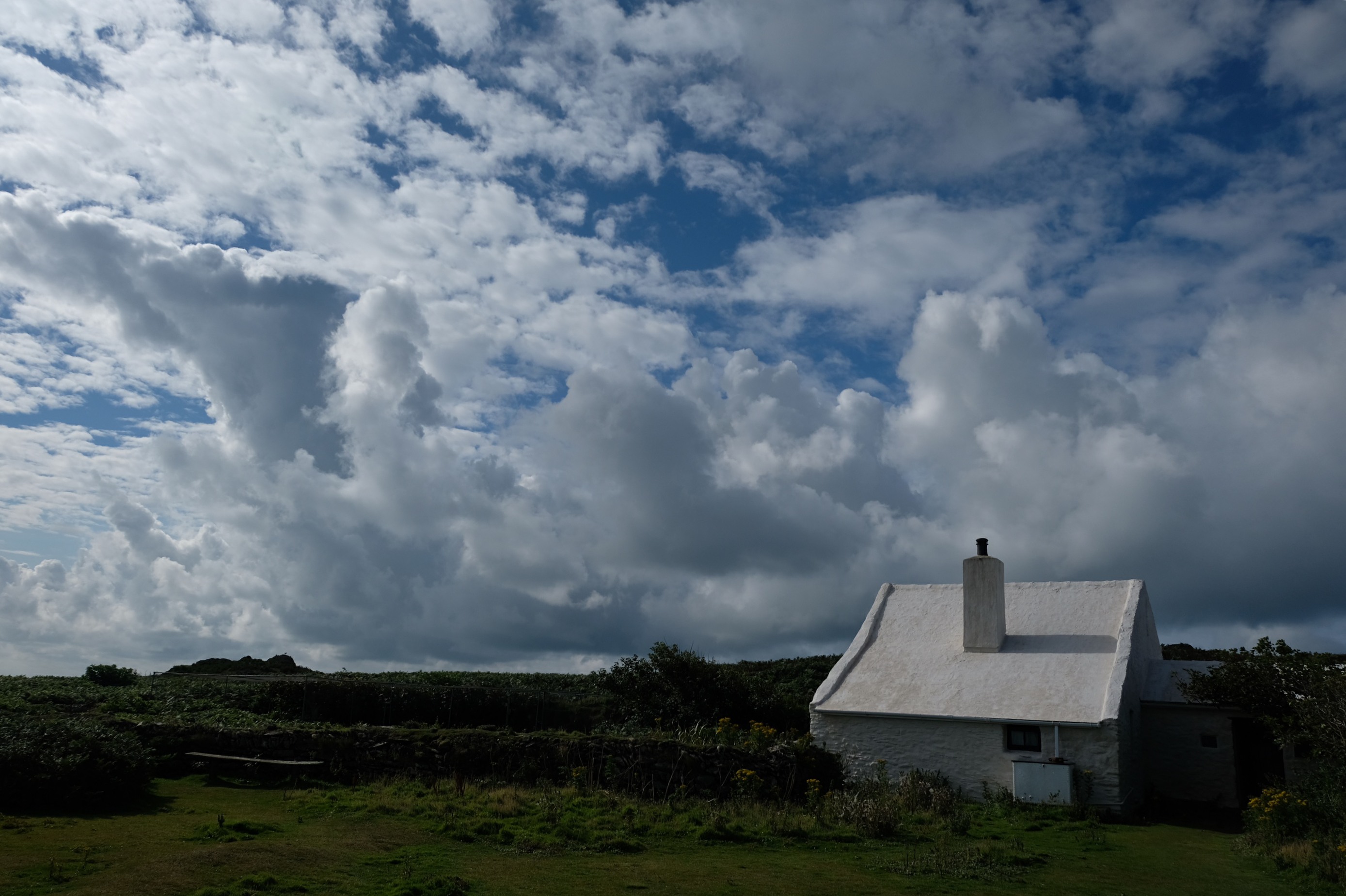 Giselle Eagle: The cottage.