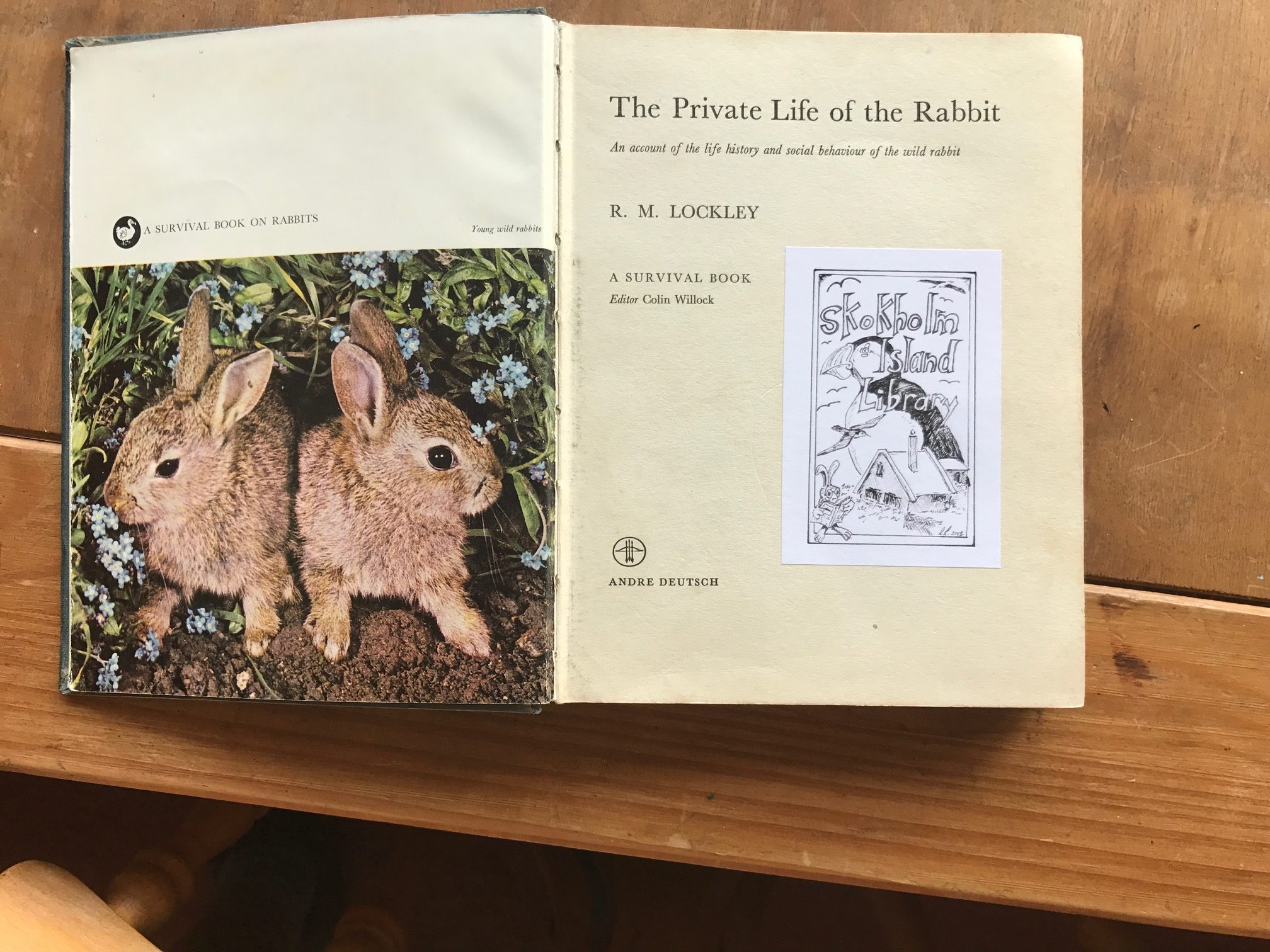 Kate Strudwick: Inside front cover of The Private Life of the Rabbit.