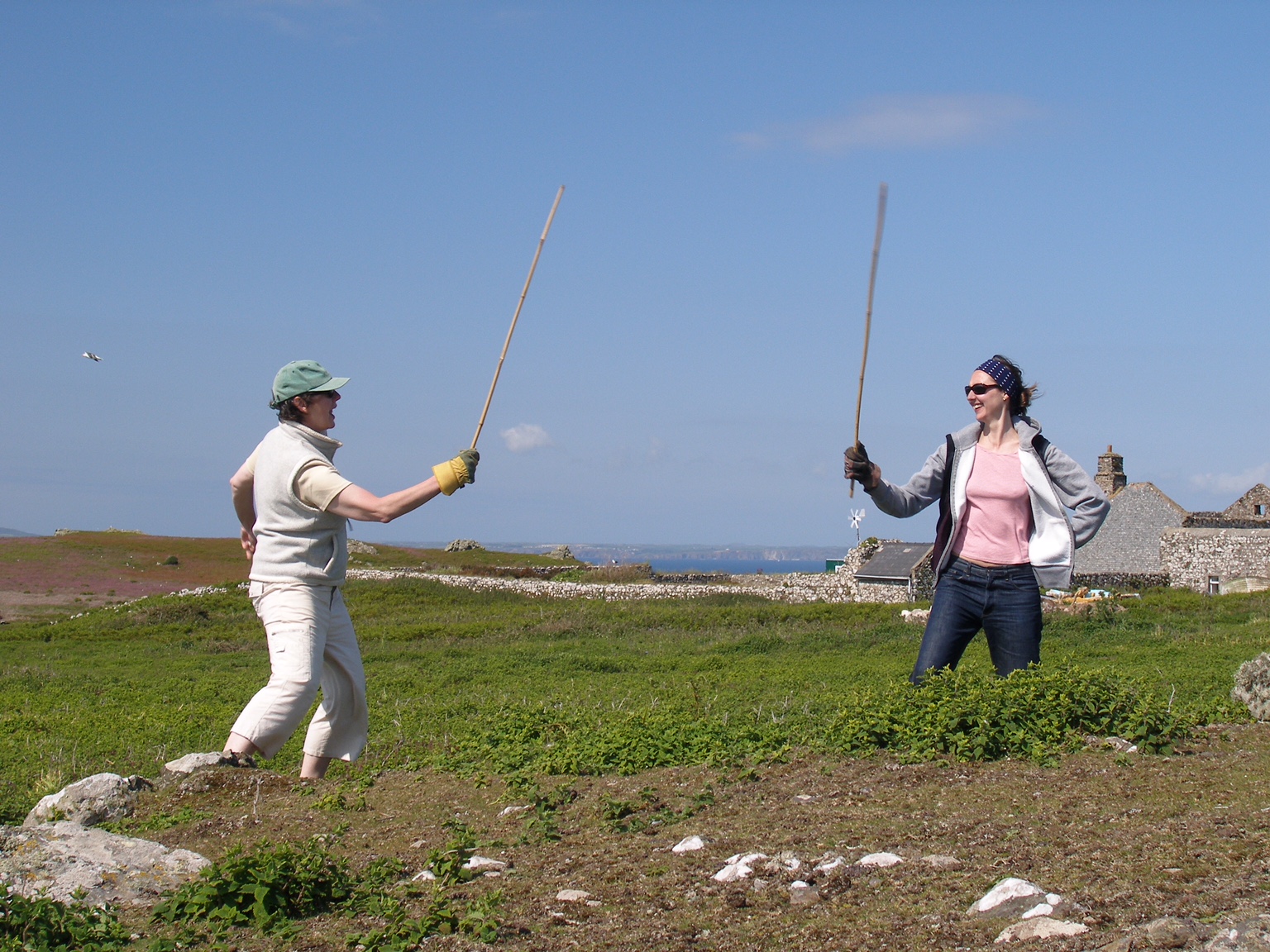 Amber: With Diddley, “bashing bracken” on Skomer Island.