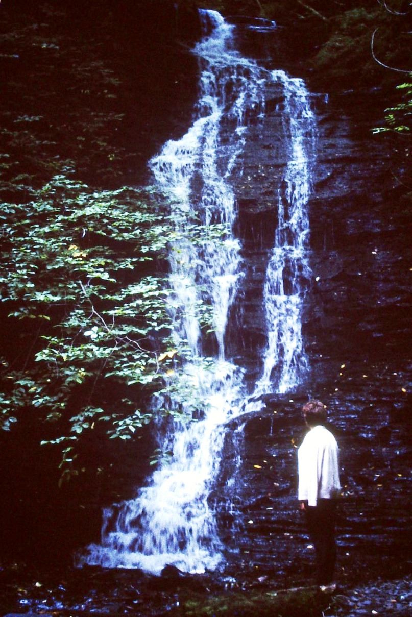 Gigrin Farm: Water Break its Neck, Radnorshire. 1966.