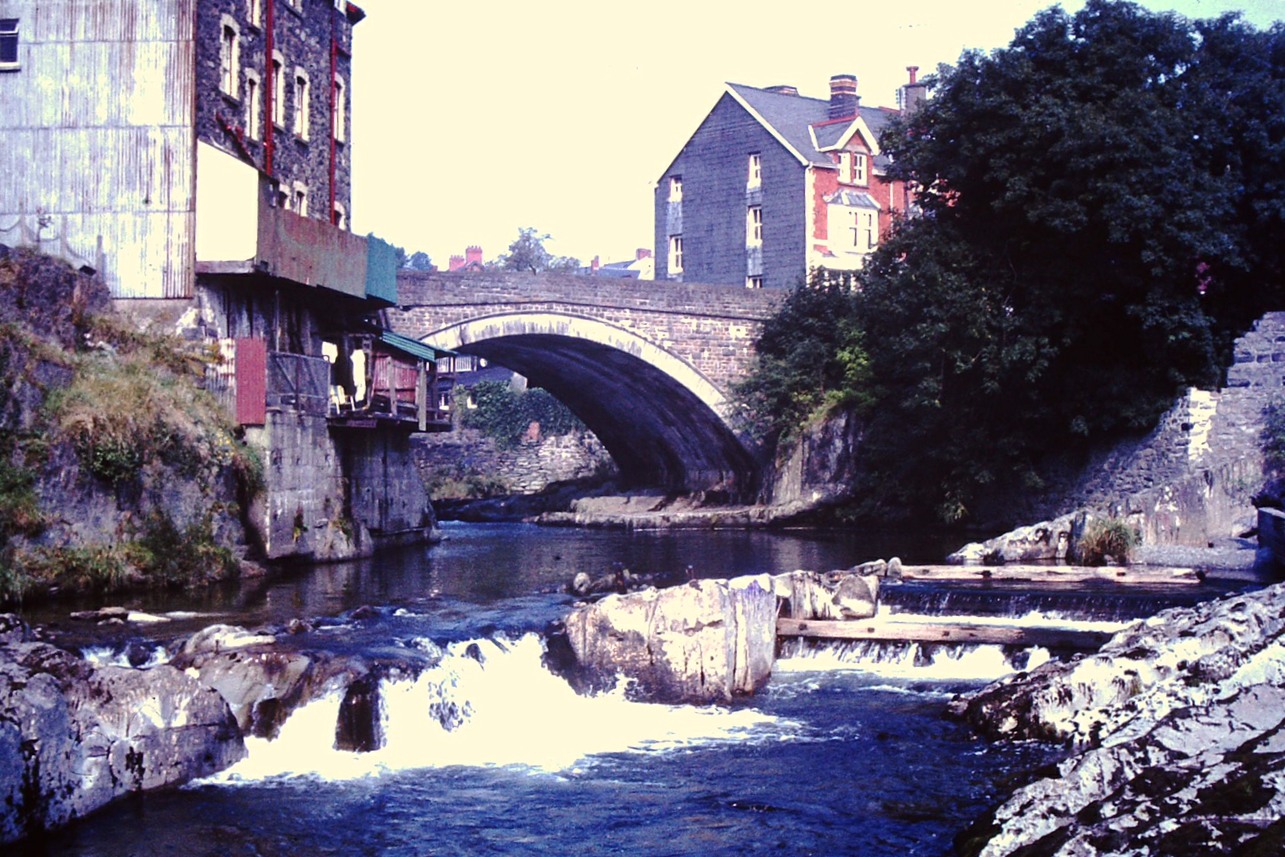 Gigrin Farm: Rhayader, 1966.