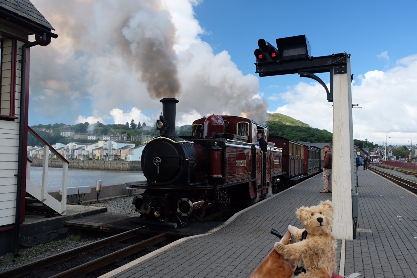 Great Little Trains of Wales: One of the famous "Double Farlie" locomotives.