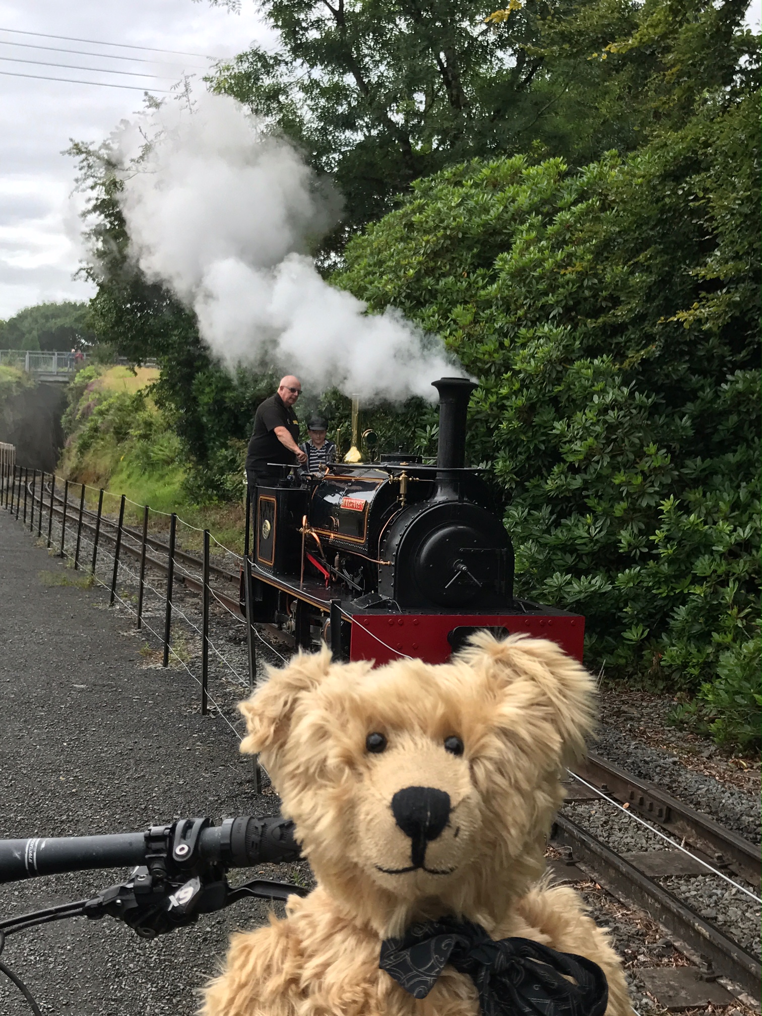 Grreat Little Trains of Wales: Devils Bridge.