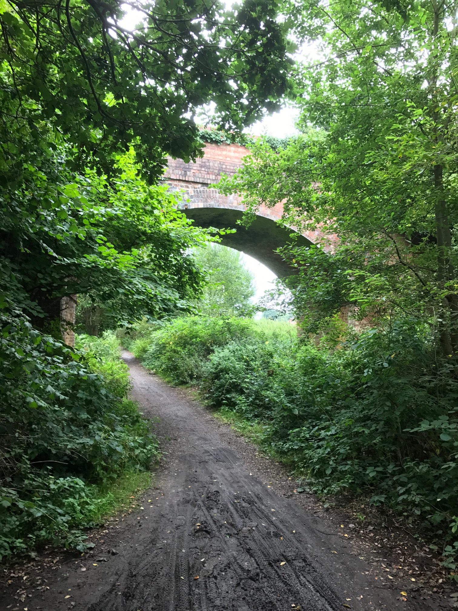 Wintershall Manor: Downs Link Cycleway. Disused railway line.