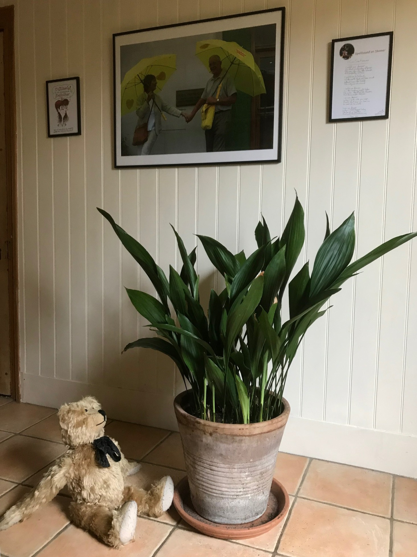 Aspidistra: That's more like it! Not so gloomy here - see how it shines, Bobby!