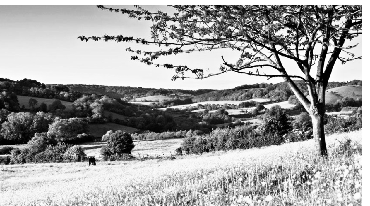 Cotswold Granny: One of the five valleys near Stroud.