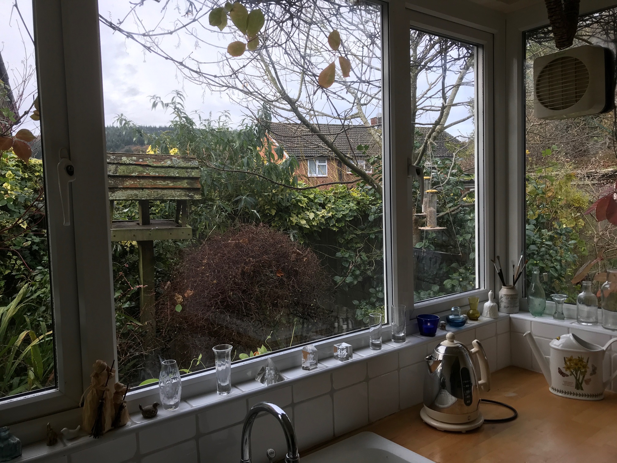 The Kitchen Window: The view of the Bird Table and Feeders.