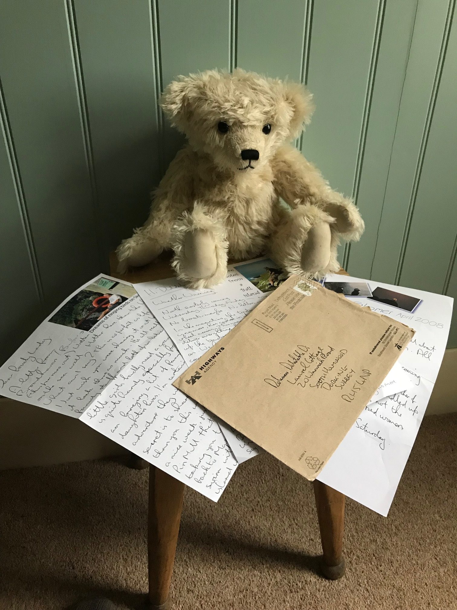 Little White Bear: Love letters from Skomer Island.