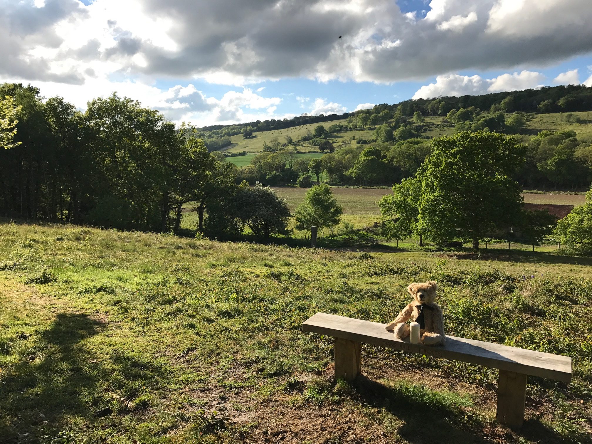 Bench: Heaven.