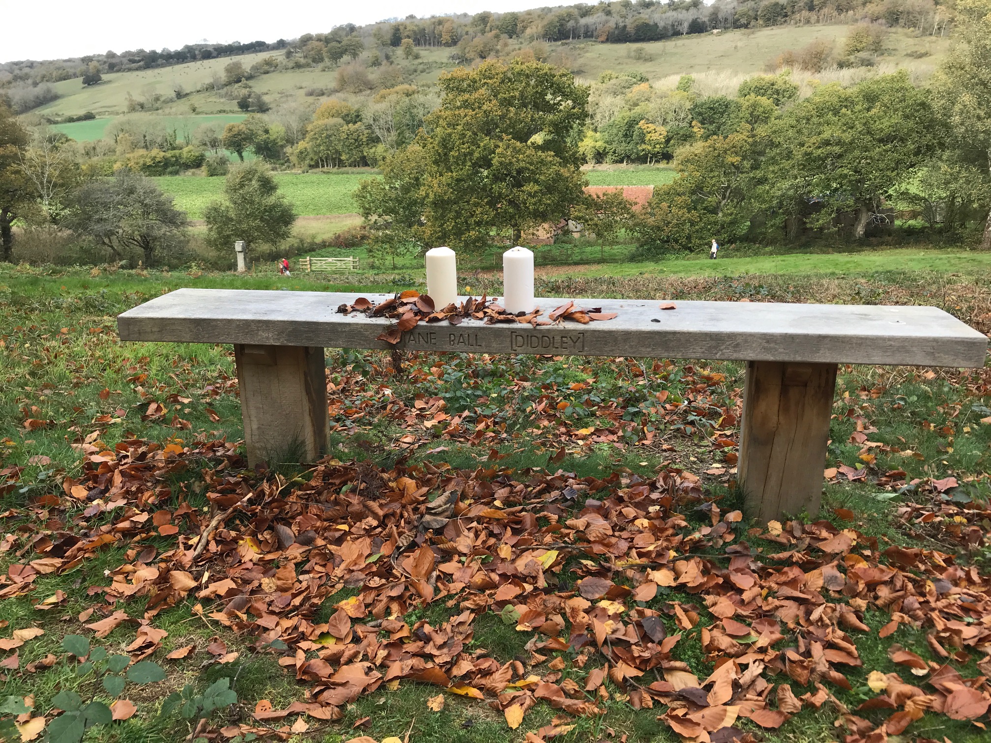 Bench: Remembering Amber and Diddley.