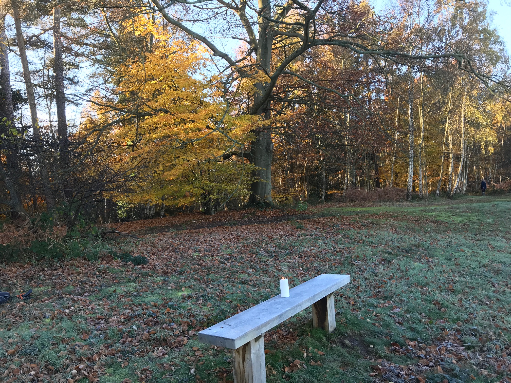 Bench: Autumn on the Roughs. A candle for anyone.
