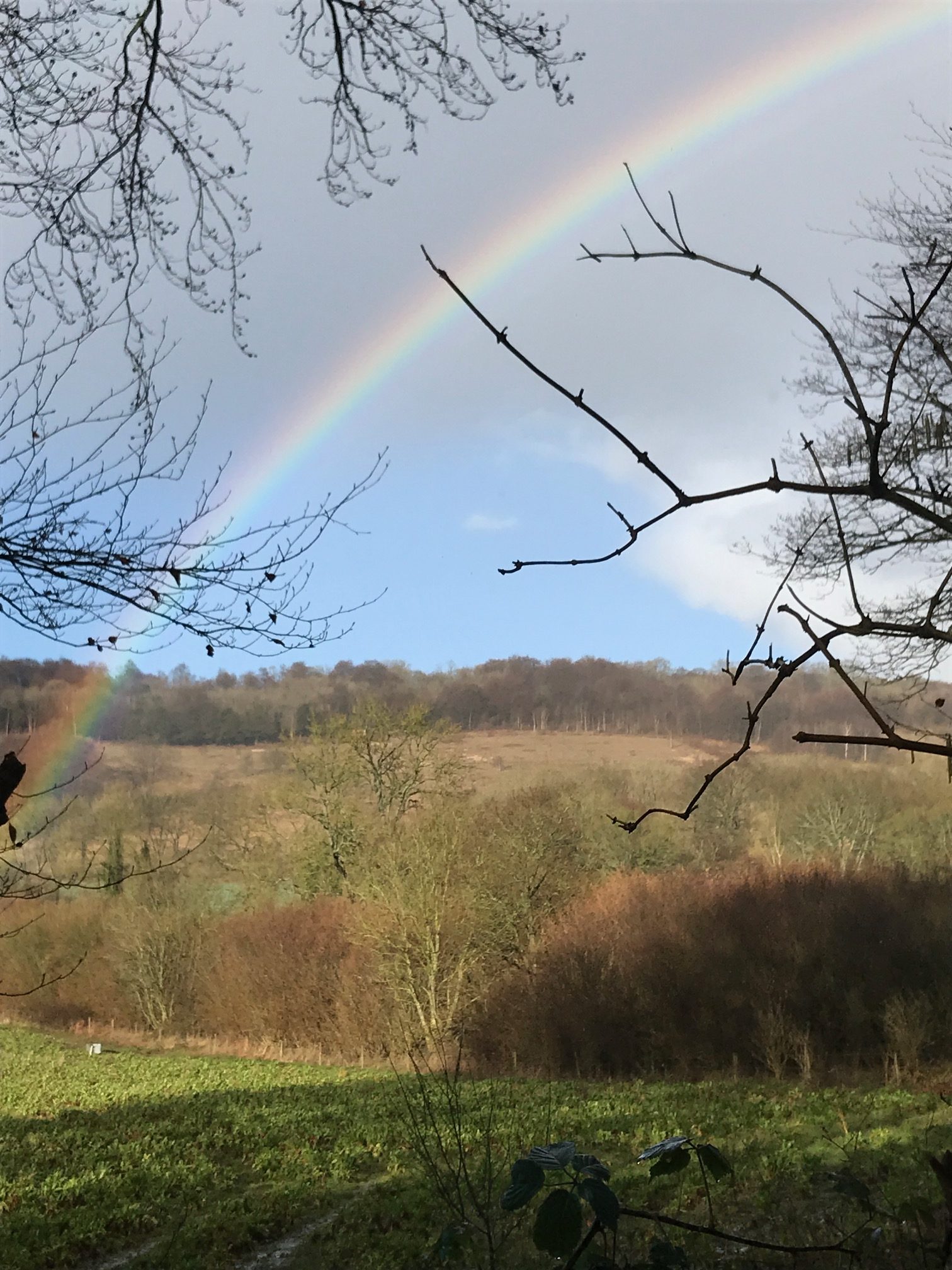 Salzburg: Abinger Roughs. The Rainbow.