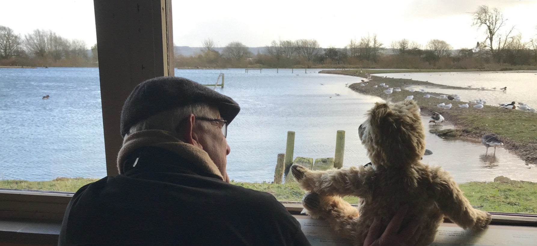 Cotswolds: Slimbridge.